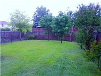 Hackberry Branch, Allen, TX 75002 