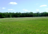 County Road 344, Dublin, TX 76446 