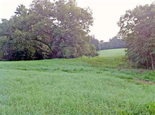 CR 384 (Old Longview Road_, Tyler, TX 75707 