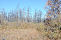 7781 CR 476 S, Henderson, TX 75654 