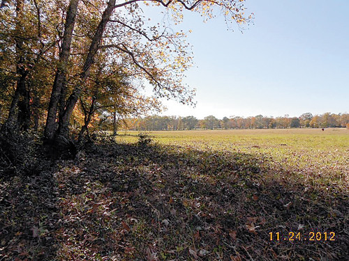 0 Northeast Jordy Road, Huntsville, TX 77320 