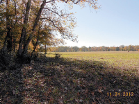 0 Northeast Jordy Road, Huntsville, TX 77320 