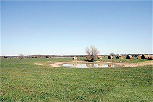 County Rd 2560, Royse City, TX 75189 