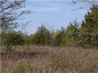 0 FM 1571, Lone Oak, TX 75453 