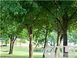 3548 Pinnacle Bay Point, Little Elm, TX 75068 