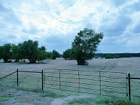0 County Road 670, Blue Ridge, TX 75424 