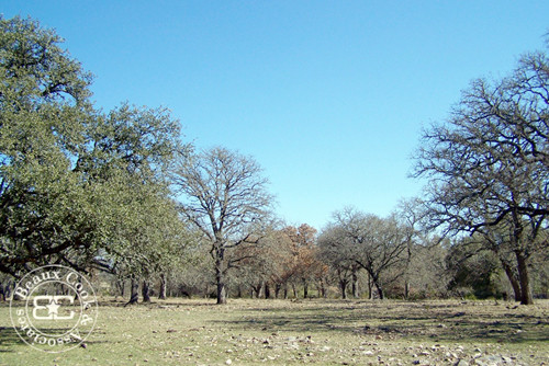 1 of the largest ranches in the Hunt area., Hunt, TX 78024 