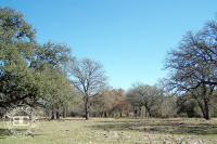 1 of the largest ranches in the Hunt area., Hunt, TX 78024 