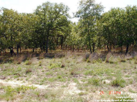 311 Encino Torcido, Adkins, TX 78101 