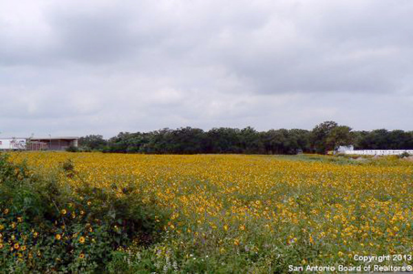 US Hwy 87, La Vernia, TX 78121 