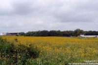 US Hwy 87, La Vernia, TX 78121 