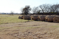 0 FM 3012, Wharton, TX 77488 
