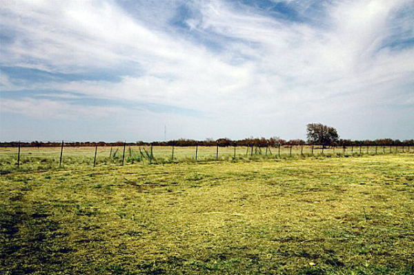 313 County Road 240, Valley View, TX 76272 