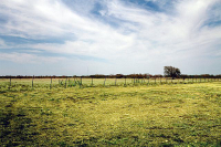 313 County Road 240, Valley View, TX 76272 