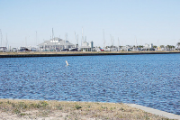 39 Fleming, Hitchcock, TX 77563 