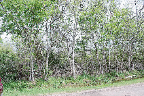 0 Ricke Lane, Hitchcock, TX 77563 