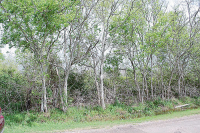 0 Ricke Lane, Hitchcock, TX 77563 