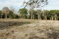 0 Candler RD, Rosenberg, TX 77471 