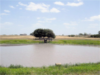 4445 Hills Rd, Carmine, TX 78932 