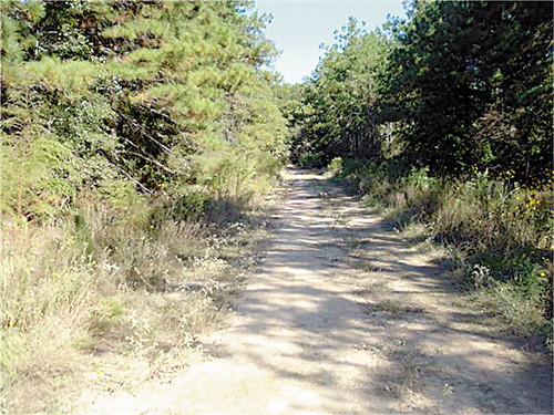 0 RED RD, Shepherd, TX 77371 