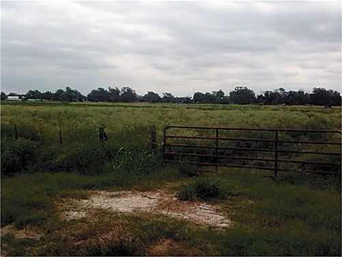 0 FM 1489, Simonton, TX 77476 