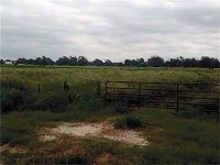 0 FM 1489, Simonton, TX 77476 