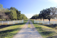 0 County Road 100, Pearland, TX 77584 