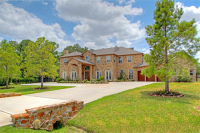 14 LILLINGTON MANOR CT, Spring, TX 77379 