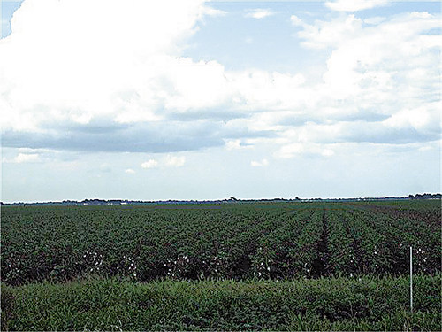 0 CR 15, Damon, TX 77430 