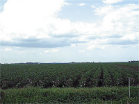 0 CR 15, Damon, TX 77430 