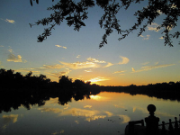 810 NEAL DR, Sugar Land, TX 77498 