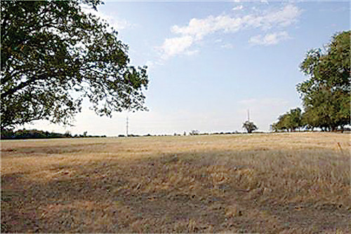 521 Larkin Road, Sunnyvale, TX 75182 