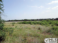 99999 Fm 2862, Anna, TX 99999 