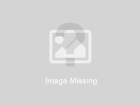 2711 Bentwood Dr., Palestine, TX 75803 