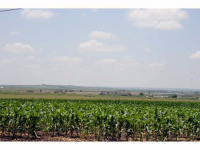 4203 FM 621, San Marcos, TX 78666 