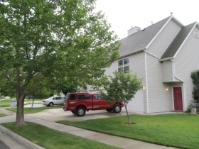 561 W FINE DR, SOUTH SALT LAKE, UT 84115 