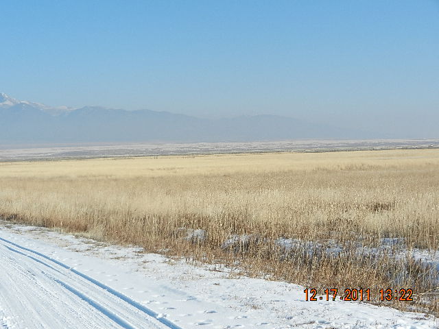 6 Arthur Cir, Rush Valley, UT 84069 