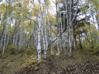 22912 Snowbird Dr, Spanish Fork, UT 84092 