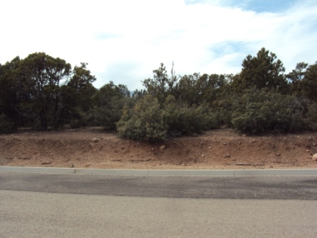 Lot 1 Prince Subdivi, New Harmony, UT 84720 