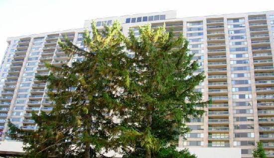 3705 South George Mason Drive #1610, Falls Church, VA 22041 