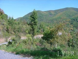 3 Blue Springs, Amherst, VA 24521 