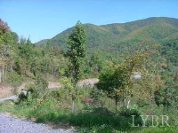 3 Blue Springs, Amherst, VA 24521 