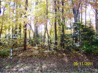 2356 MAYFLOWER DR LOT 2359, GREENBACKVILLE, VA 23356 