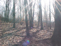 LOT12 OLD DAIRY, WARM SPRINGS, VA 24484 Foreclosure