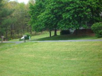 150 Bumpy Lane, Goshen, VA 24439 Foreclosure