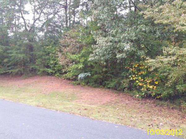 Lot 76 Db,348-344, Ruckersville, VA 22968 