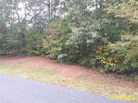 Lot 76 Db,348-344, Ruckersville, VA 22968 