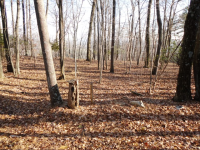 2009 Ridge Rd, Haymarket, VA 20169 