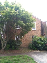 546 Biltmore Drive, Virginia Beach, VA 23454 