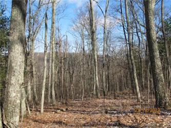 Lot 18 Delafield Rd, Hot Springs, VA 24445 
